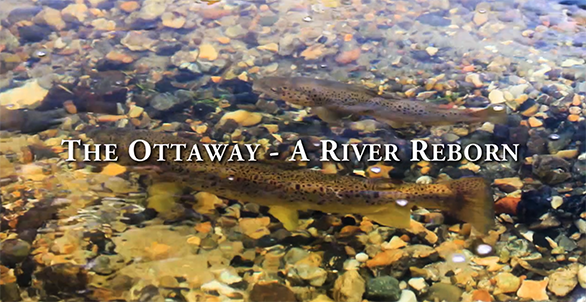 The Ottaway - A River Reborn